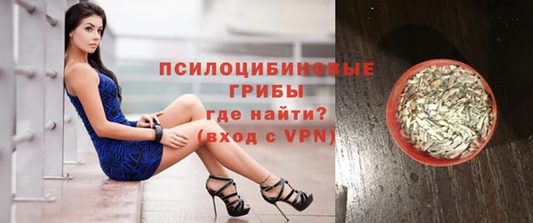 гидра Аркадак