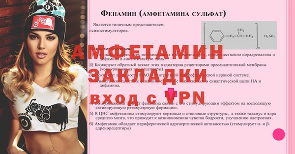 прущие грибы Богородск